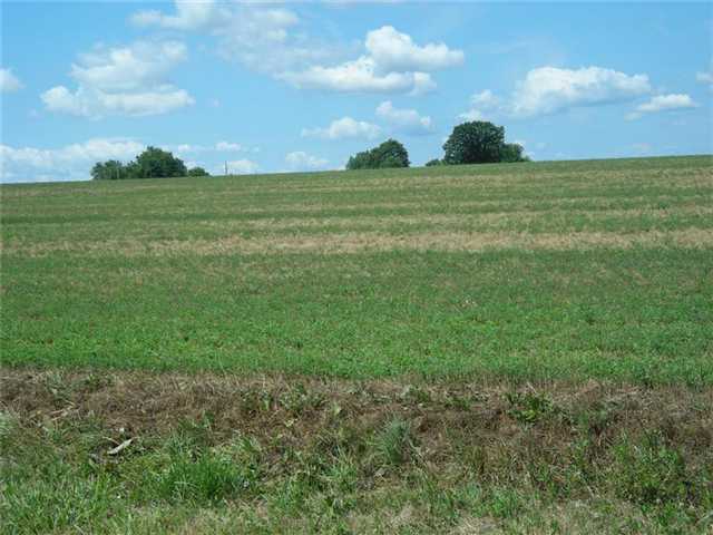 0 Flint Road Stanley, NY 14561 - Photo 1 of 1 Land