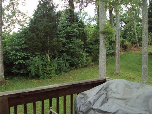 7429 Openview Lane Corryton, TN 37721 - Photo 38 of 40 Additional Photo