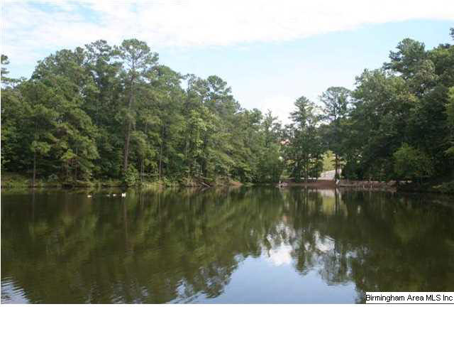 777 Carl Raines Lake Road Birmingham, AL 35244 - Photo 8 of 32