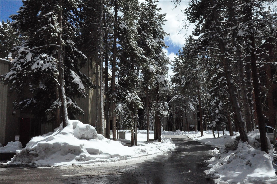 820 Columbine Road, Unit 1 Breckenridge, CO 80424 - Photo 13 of 25 Gallery Image 13