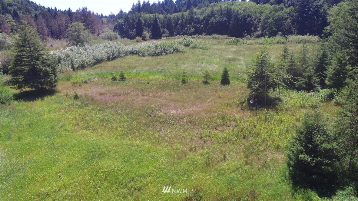 2222 Leland Valley Road West Quilcene, WA 98376 - Photo 14 of 17 Gallery Image 14