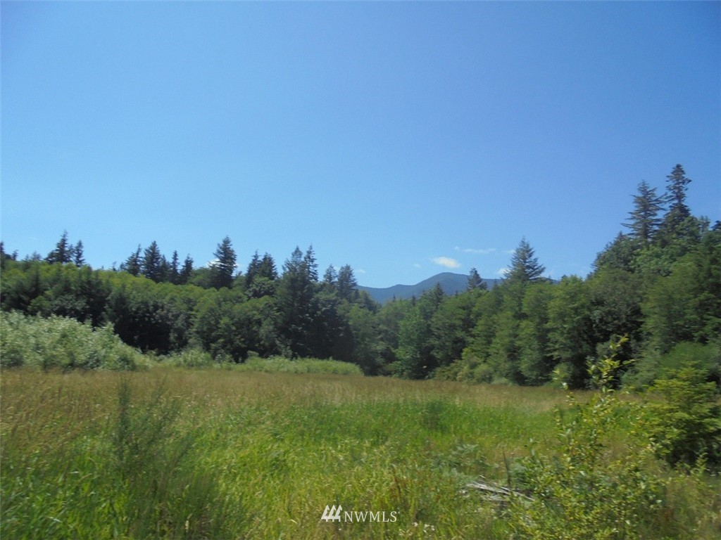 2222 Leland Valley Road West Quilcene, WA 98376 - Photo 16 of 17 Gallery Image 16