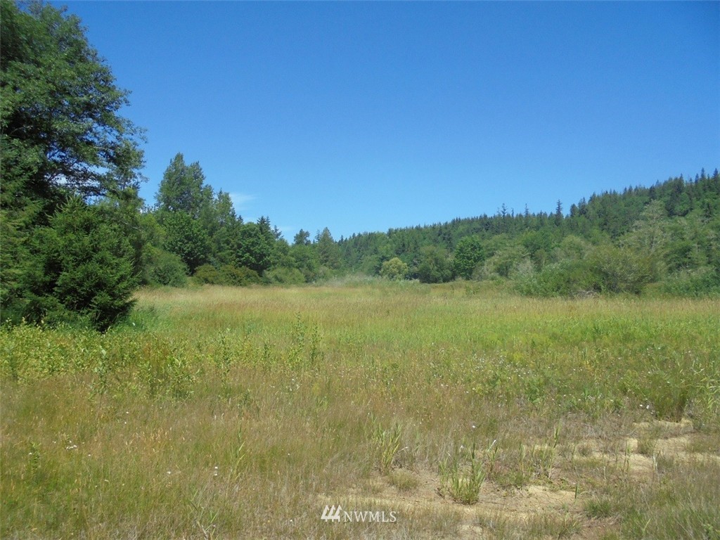 2222 Leland Valley Road West Quilcene, WA 98376 - Photo 17 of 17 Gallery Image 17