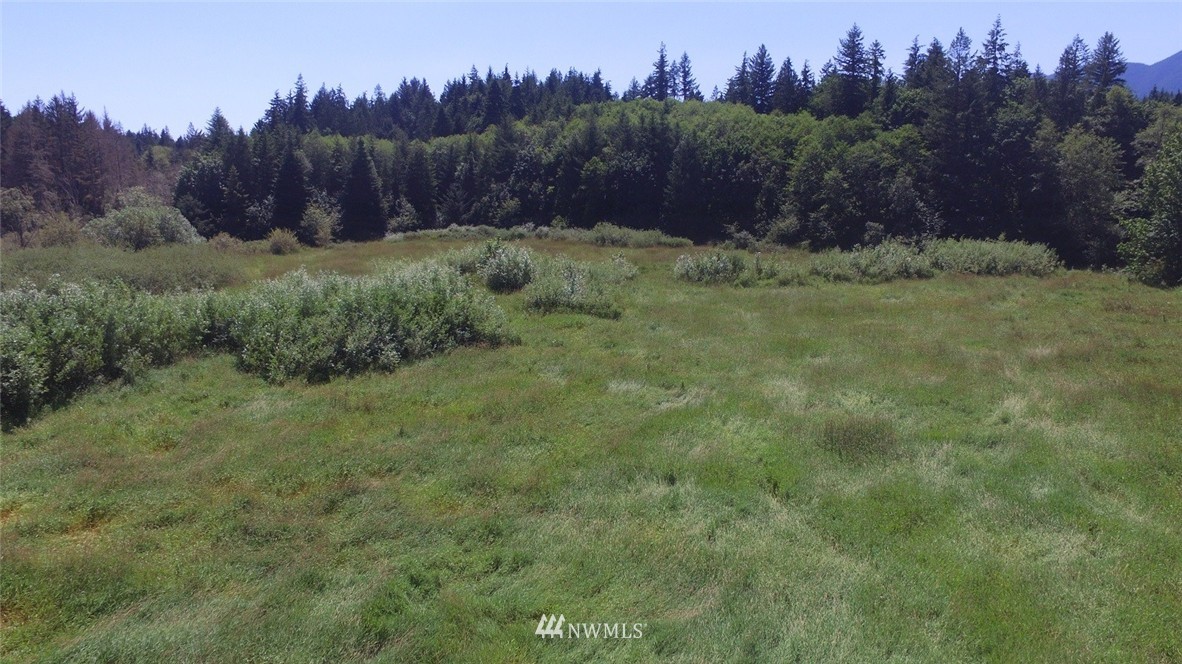 2222 Leland Valley Road West Quilcene, WA 98376 - Photo 6 of 17 Gallery Image 6