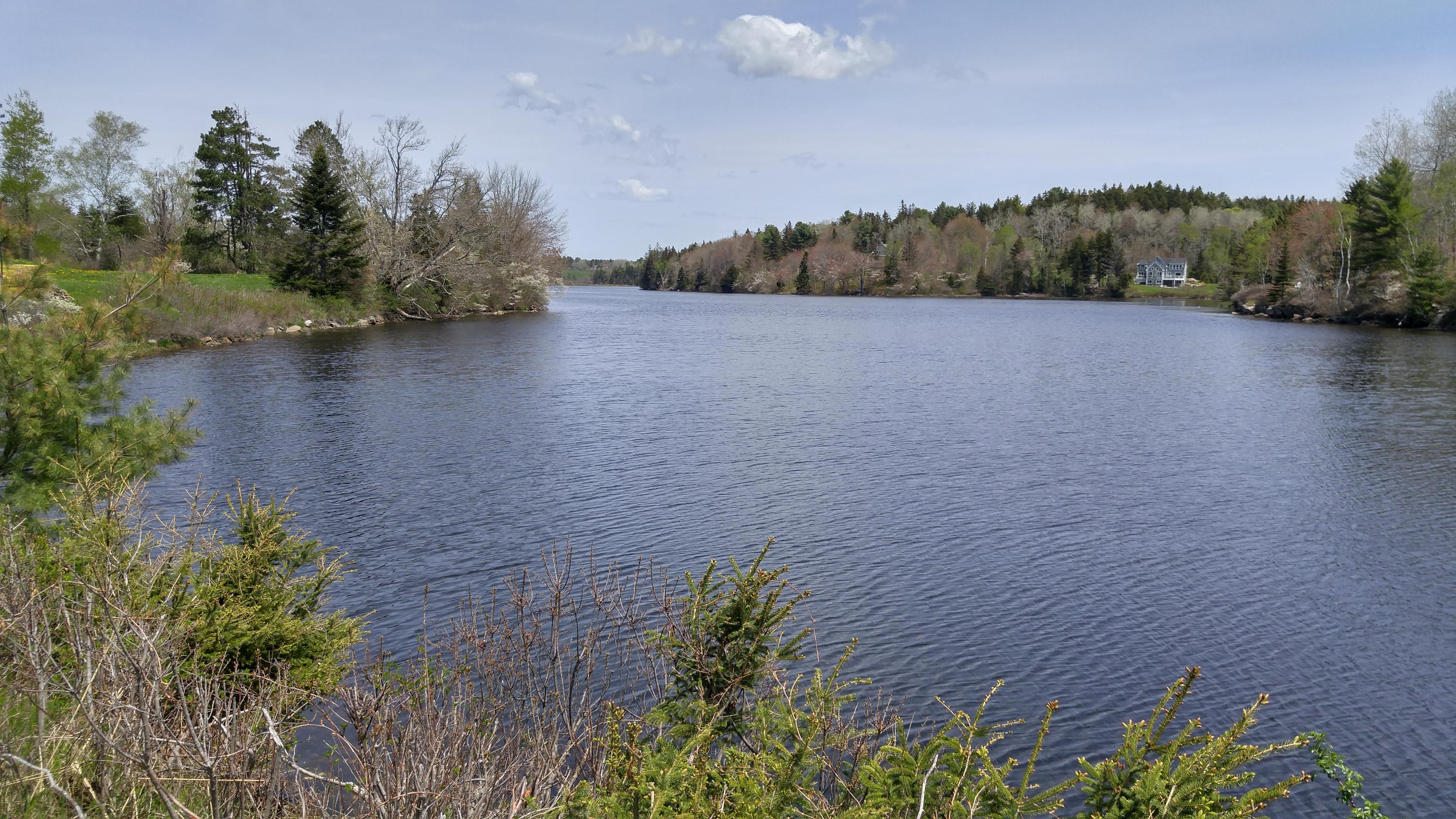 43 Raccoon Lane Cushing, ME 04563 - Photo 37 of 45 Salt Pond