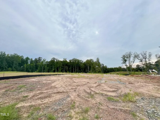 a view of an outdoor space with yard