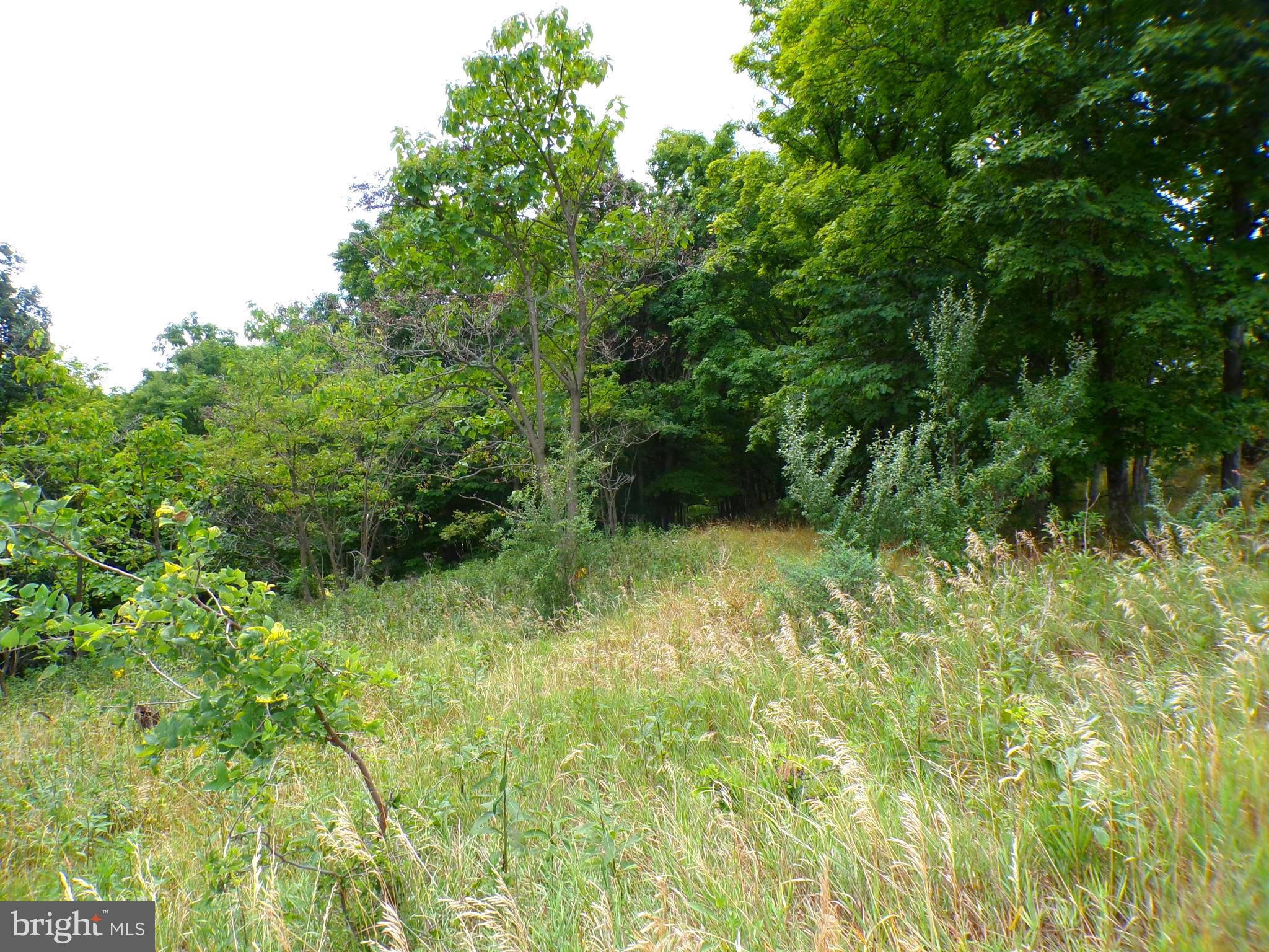 10.1 Waxler Road Keyser, WV 26726 - Photo 1 of 9 Gallery Image 1