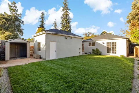 a view of a yard in front of a house with plants and a large tree
