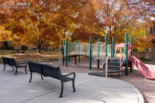 a view of a park with large trees