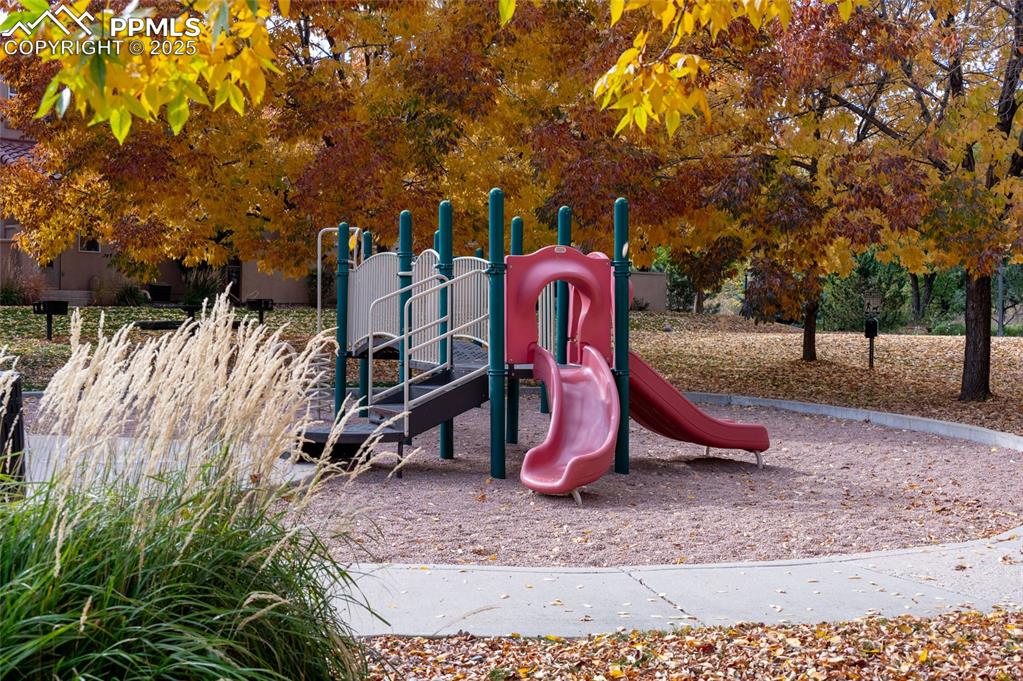 3294 Apogee View Colorado Springs, CO 80906 - Photo 27 of 35 a view of a park with large trees
