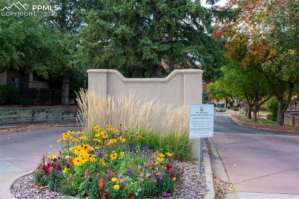 3294 Apogee View Colorado Springs, CO 80906 - Photo 29 of 35 a sign that is in front of flowers