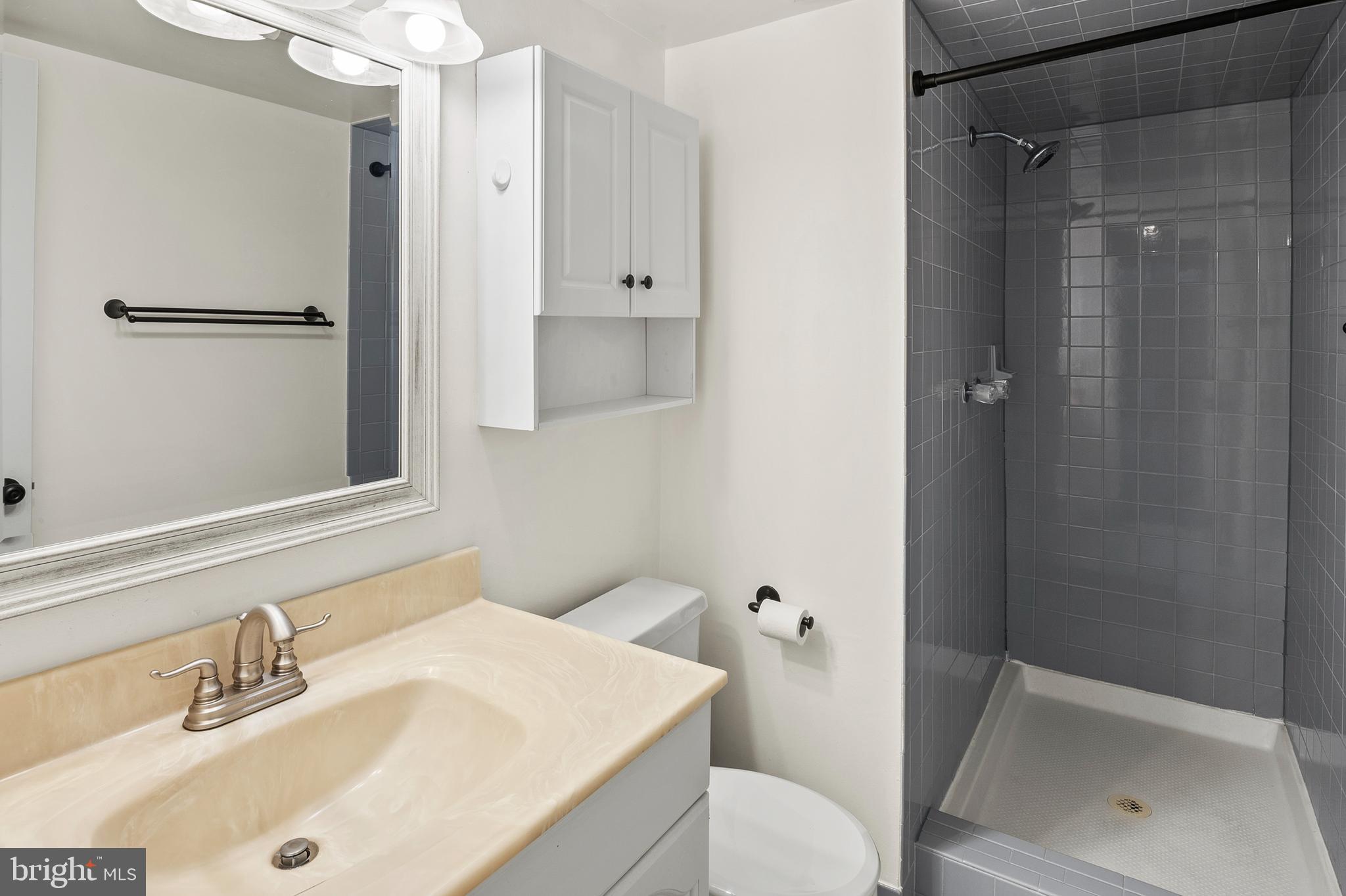 755 Fairview Avenue, Unit 755D Annapolis, MD 21403 - Photo 13 of 44 a bathroom with a sink toilet and shower