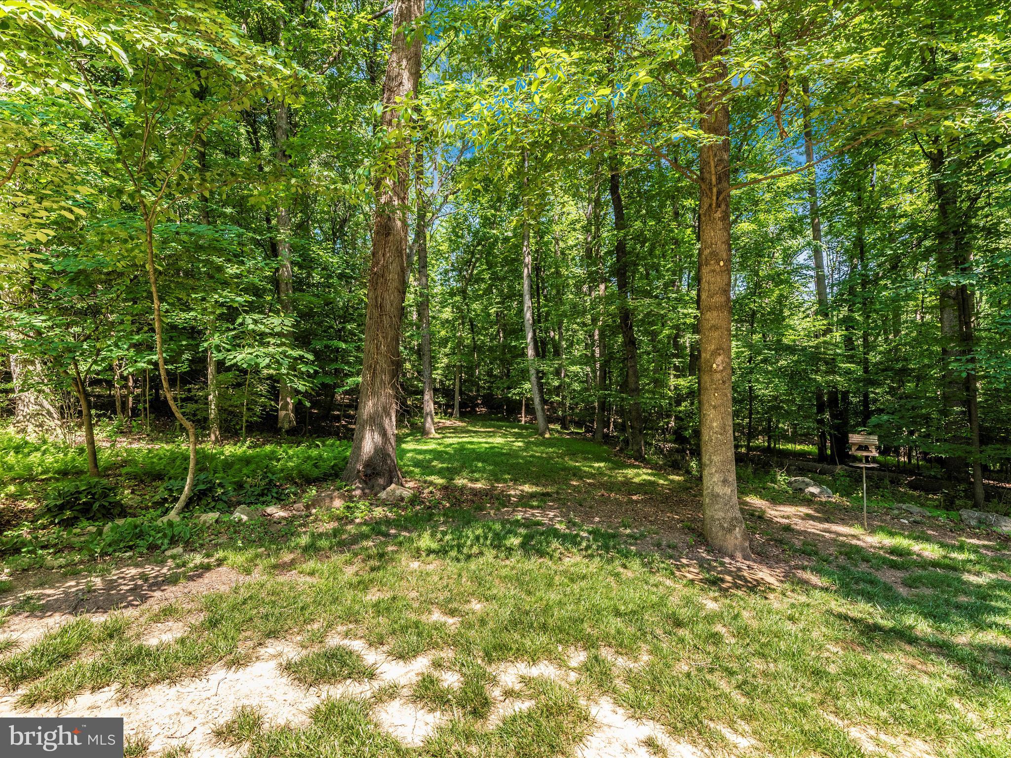 4314 Tabler Road Frederick, MD 21704 - Photo 50 of 71 Exterior Back