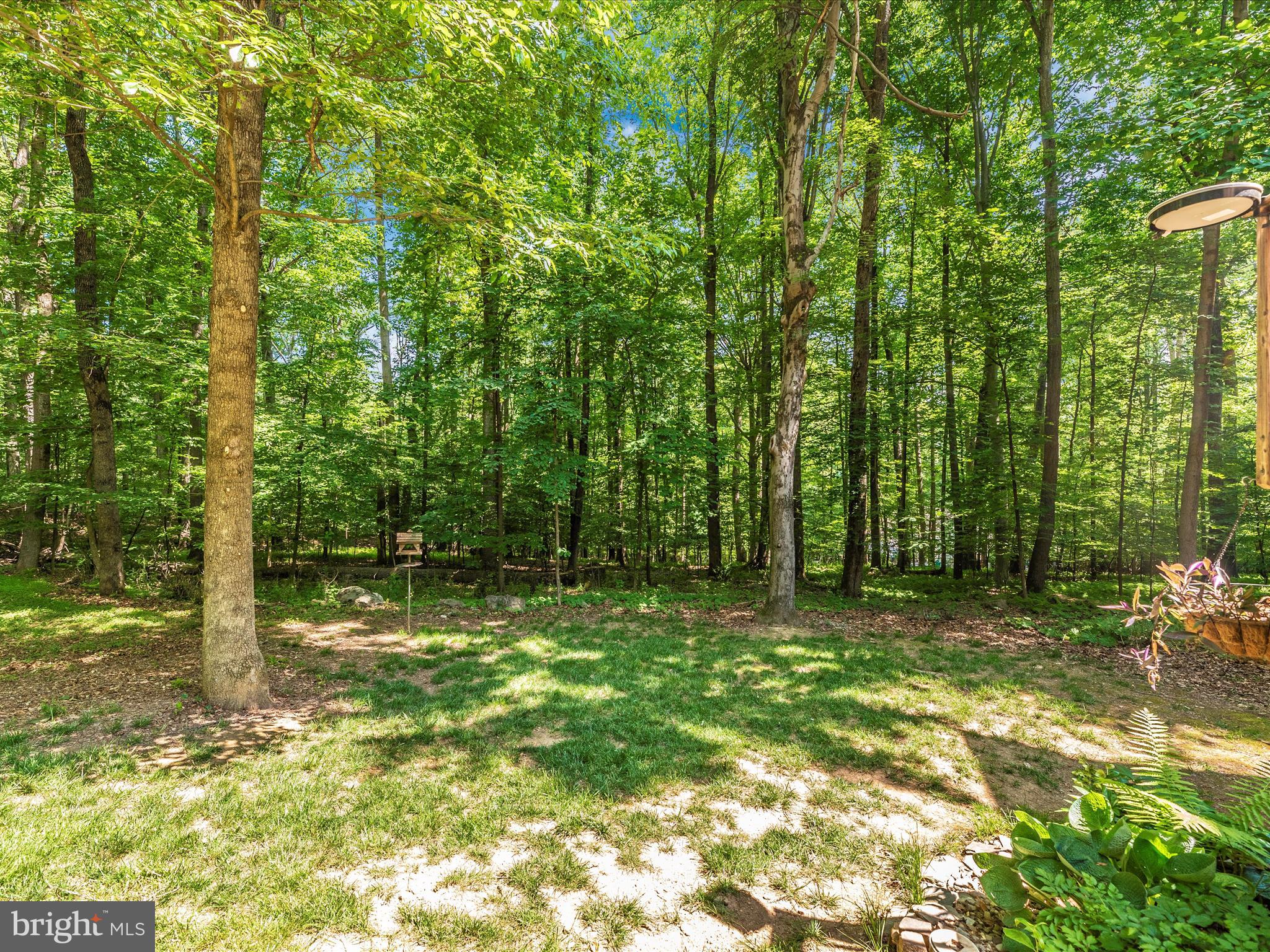 4314 Tabler Road Frederick, MD 21704 - Photo 51 of 71 Exterior Back