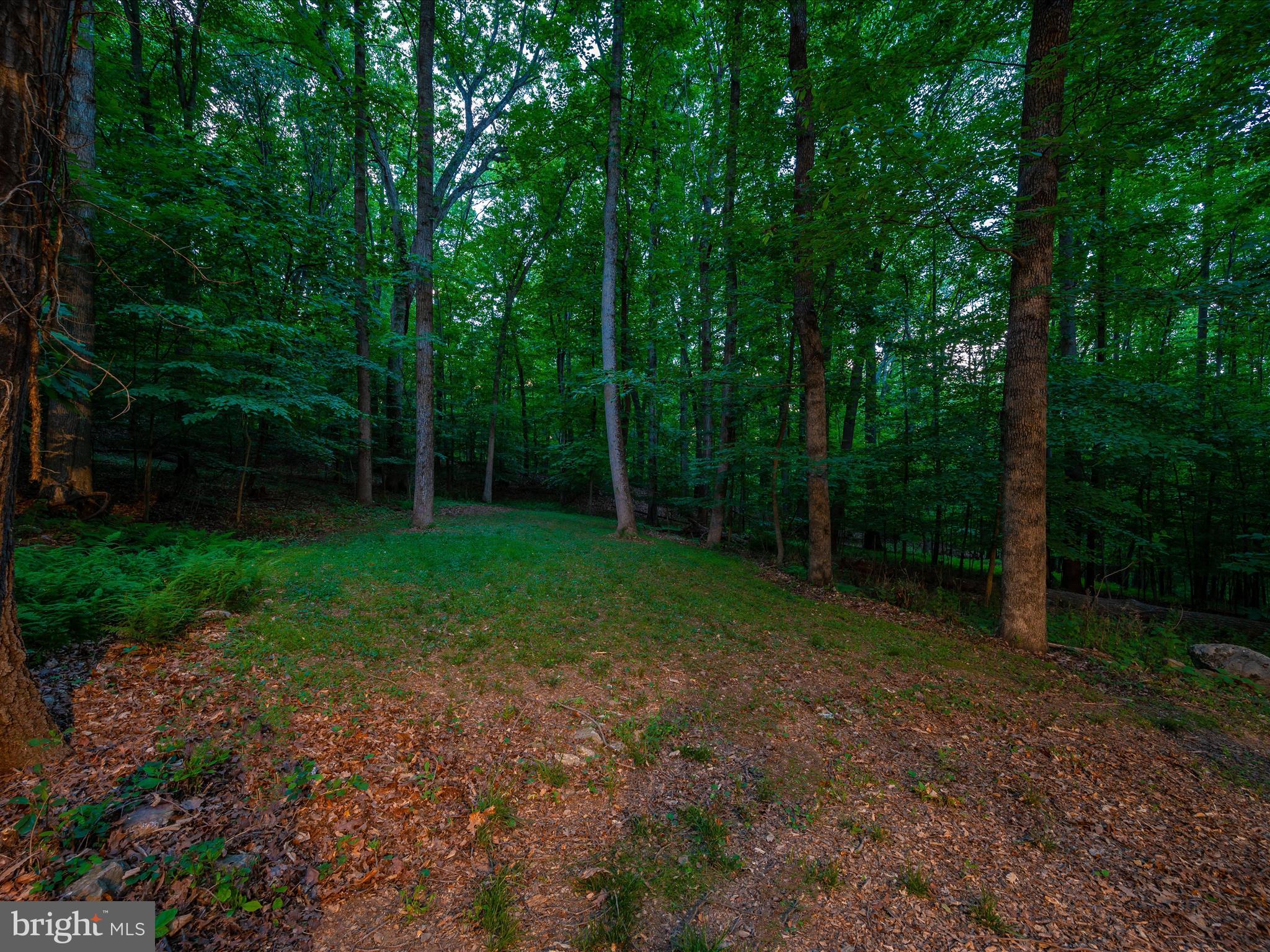 4314 Tabler Road Frederick, MD 21704 - Photo 64 of 71 Twilight Photos