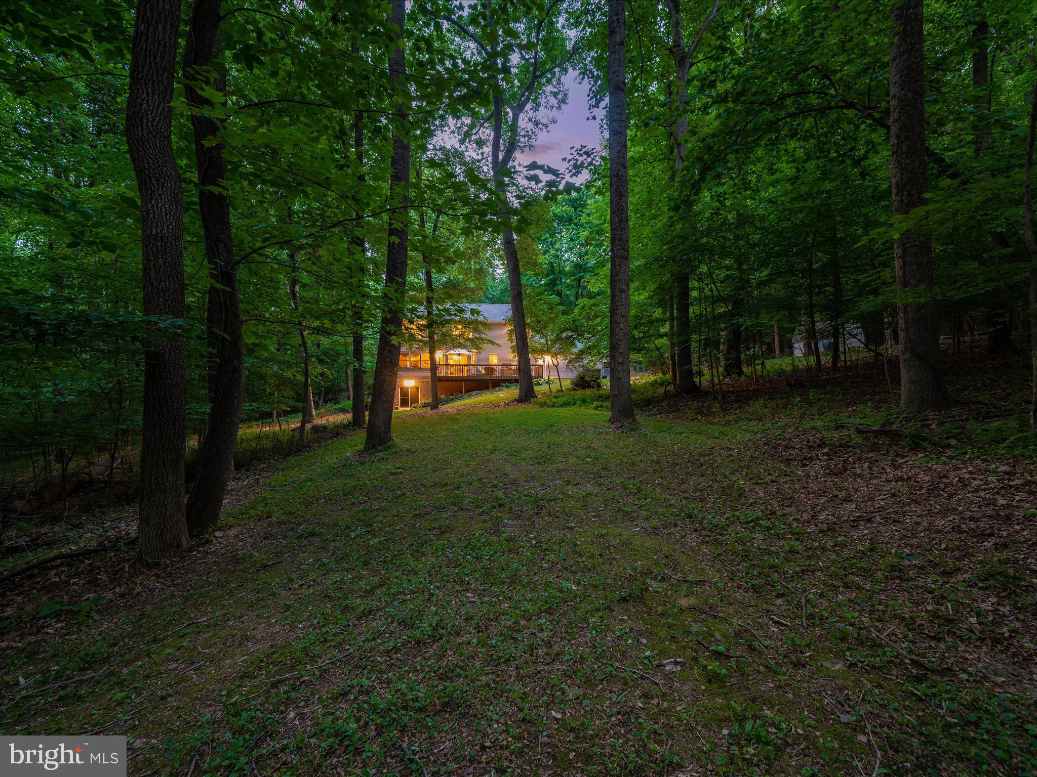 4314 Tabler Road Frederick, MD 21704 - Photo 67 of 71 Twilight Photos