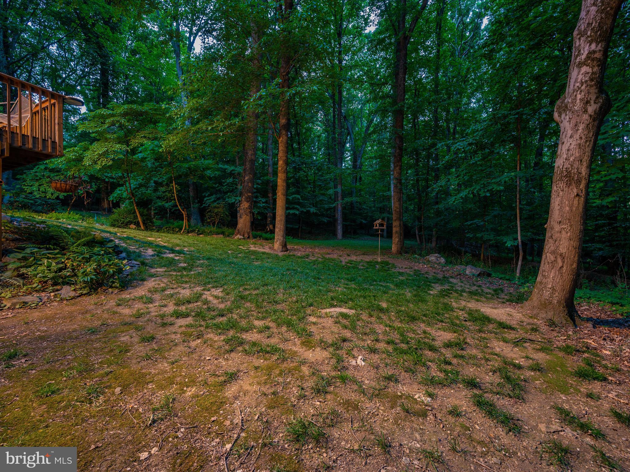 4314 Tabler Road Frederick, MD 21704 - Photo 68 of 71 Twilight Photos