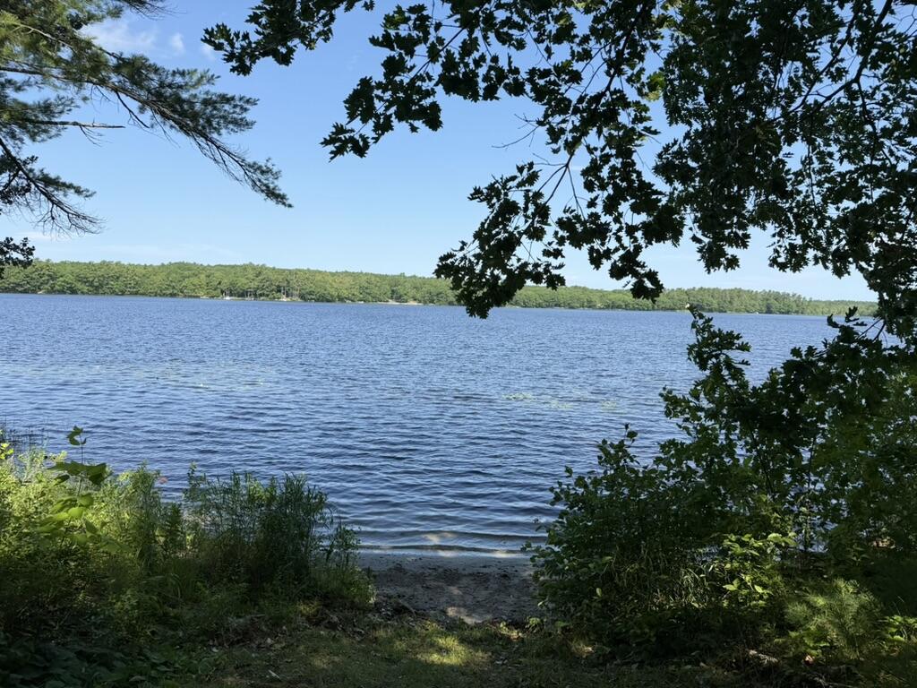 139 Jones Point Road Nobleboro, ME 04555 - Photo 8 of 33 143D05CB-4D84-4310-B097-80893A7DC50F_1_1