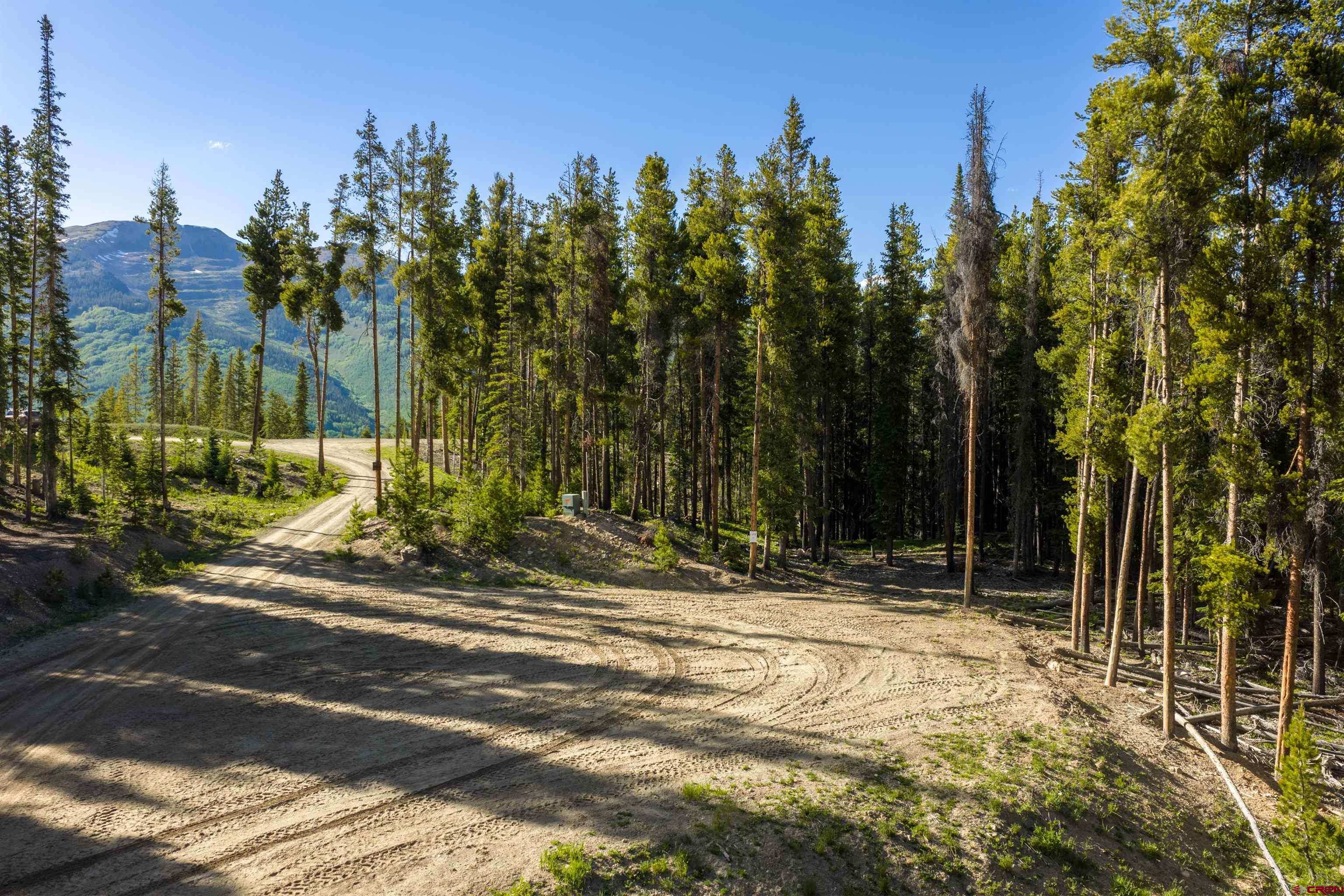 5350 Wildcat Trail Crested Butte, CO 81224 - Photo 8 of 20 a view of a house with a yard and tree s