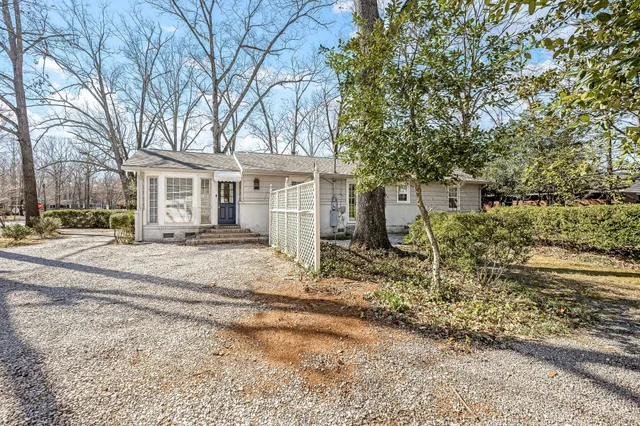 a view of a yard with a large tree