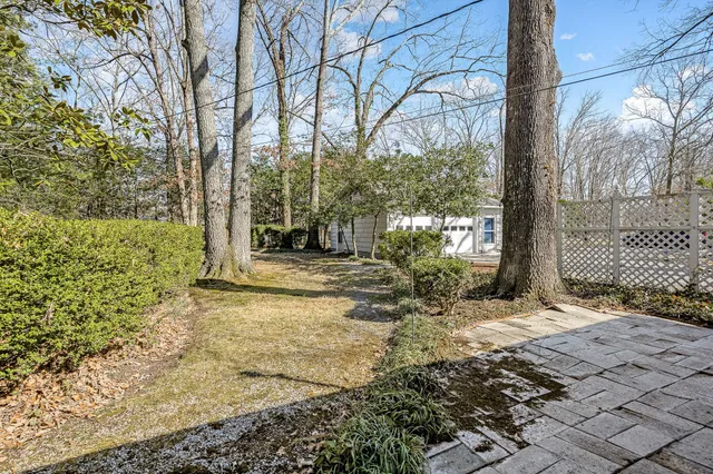 a view of a yard with plants and trees