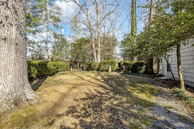 a view of road with trees
