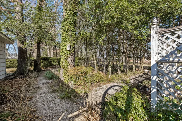 a view of a yard with plants and trees