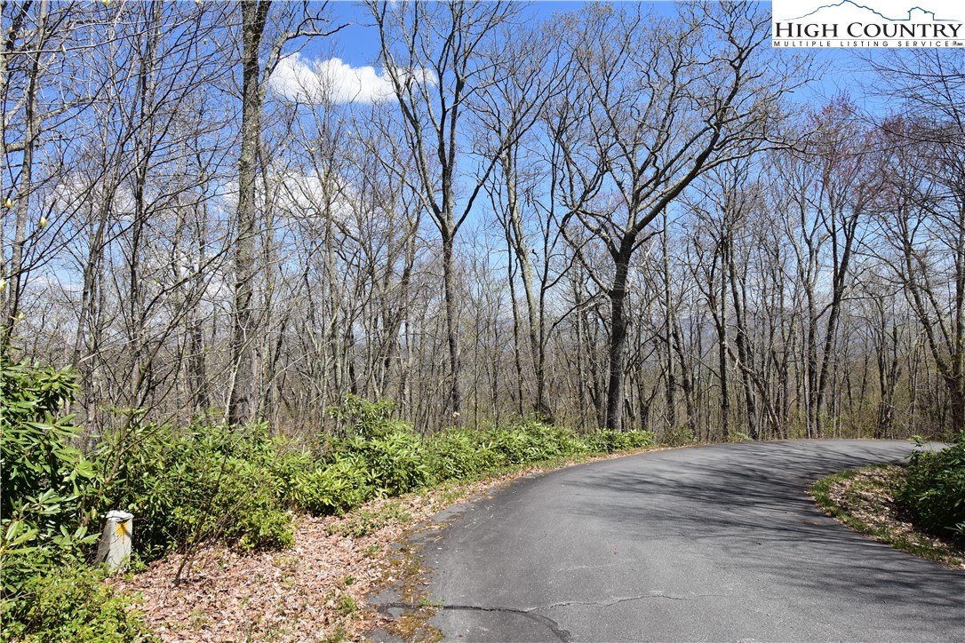 Lot 15 Chestnut Mountain Road Banner Elk, NC 28604 - Photo 11 of 50 Gallery Image 11