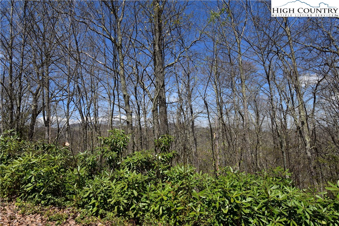 Lot 15 Chestnut Mountain Road Banner Elk, NC 28604 - Photo 12 of 50 Gallery Image 12