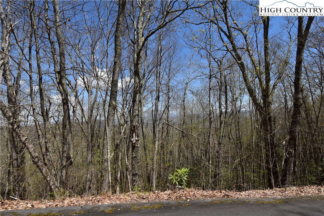 Lot 15 Chestnut Mountain Road Banner Elk, NC 28604 - Photo 13 of 50 Gallery Image 13