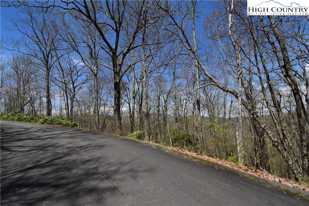 Lot 15 Chestnut Mountain Road Banner Elk, NC 28604 - Photo 14 of 50 Gallery Image 14