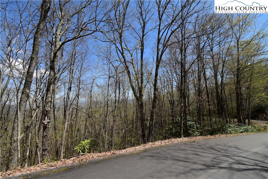 Lot 15 Chestnut Mountain Road Banner Elk, NC 28604 - Photo 15 of 50 Gallery Image 15