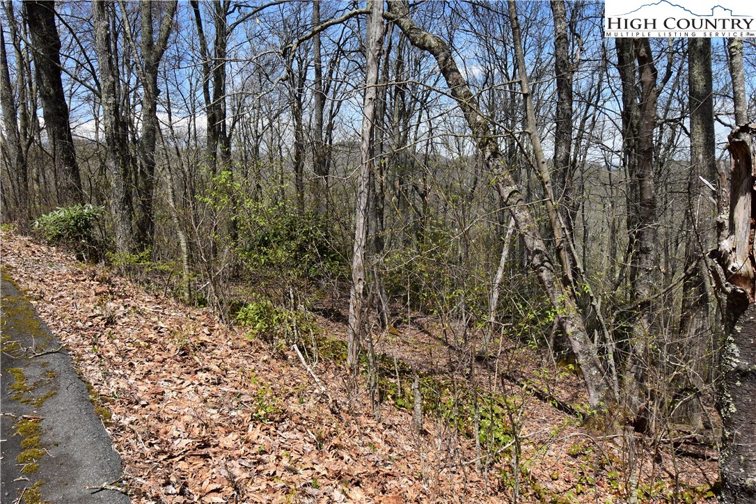 Lot 15 Chestnut Mountain Road Banner Elk, NC 28604 - Photo 16 of 50 Gallery Image 16