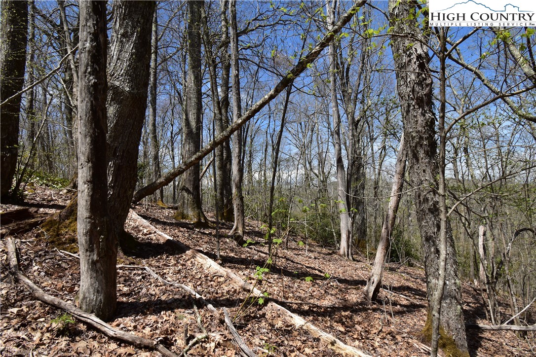 Lot 15 Chestnut Mountain Road Banner Elk, NC 28604 - Photo 17 of 50 Gallery Image 17