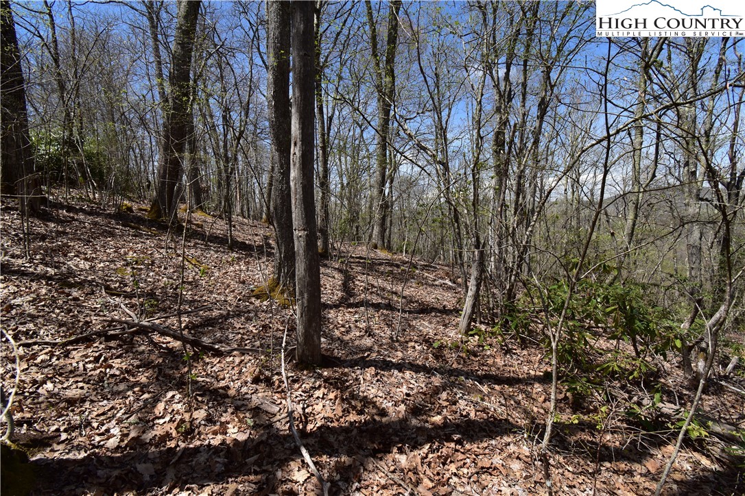 Lot 15 Chestnut Mountain Road Banner Elk, NC 28604 - Photo 18 of 50 Gallery Image 18