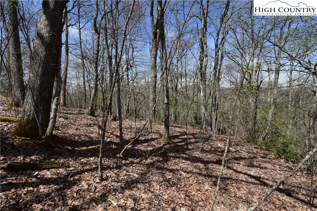 Lot 15 Chestnut Mountain Road Banner Elk, NC 28604 - Photo 19 of 50 Gallery Image 19