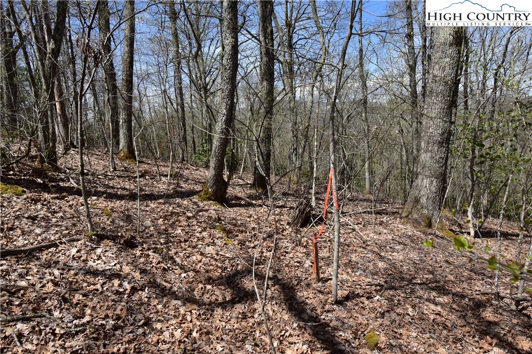 Lot 15 Chestnut Mountain Road Banner Elk, NC 28604 - Photo 20 of 50 Gallery Image 20
