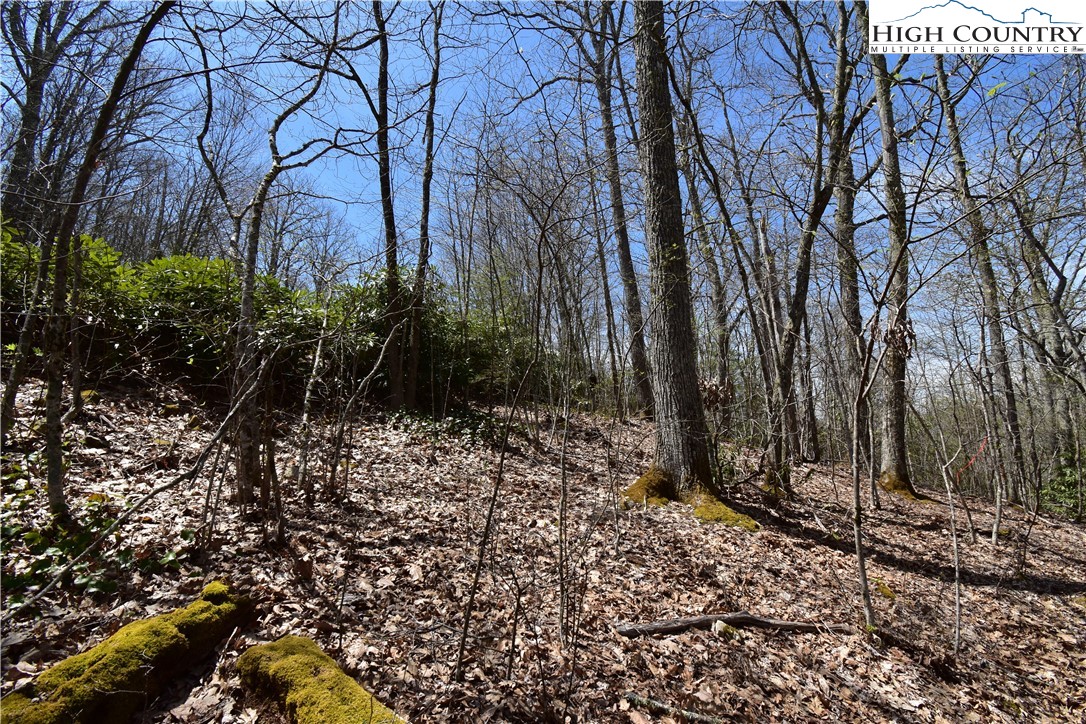 Lot 15 Chestnut Mountain Road Banner Elk, NC 28604 - Photo 21 of 50 Gallery Image 21