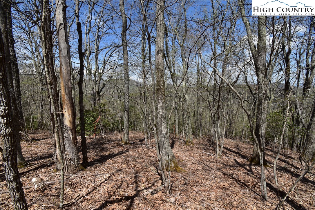 Lot 15 Chestnut Mountain Road Banner Elk, NC 28604 - Photo 22 of 50 Gallery Image 22