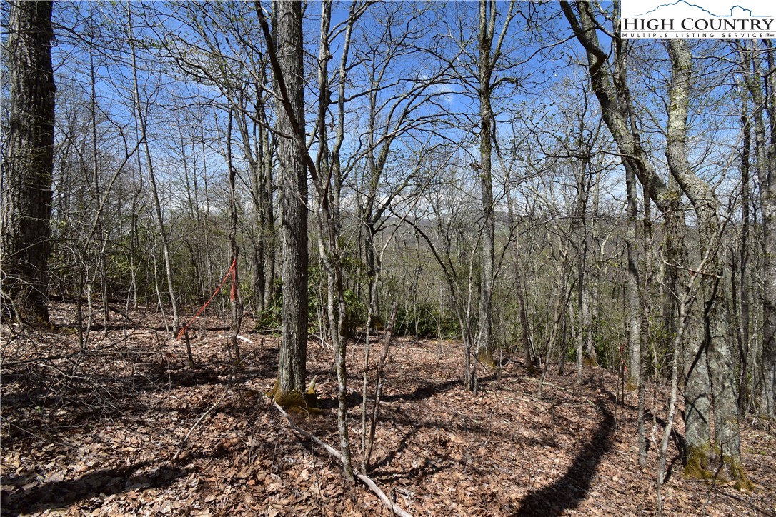 Lot 15 Chestnut Mountain Road Banner Elk, NC 28604 - Photo 23 of 50 Gallery Image 23