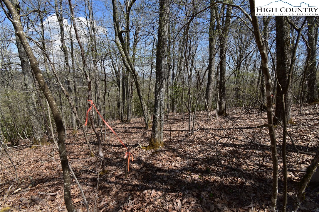 Lot 15 Chestnut Mountain Road Banner Elk, NC 28604 - Photo 24 of 50 Gallery Image 24