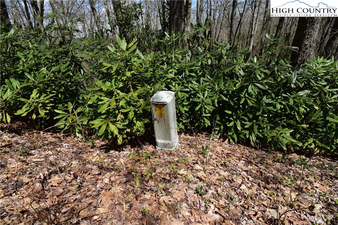 Lot 15 Chestnut Mountain Road Banner Elk, NC 28604 - Photo 26 of 50 Gallery Image 26