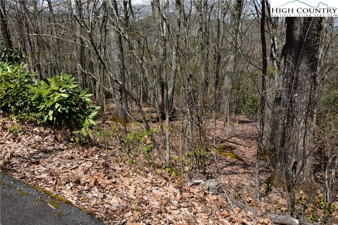 Lot 15 Chestnut Mountain Road Banner Elk, NC 28604 - Photo 27 of 50 Gallery Image 27