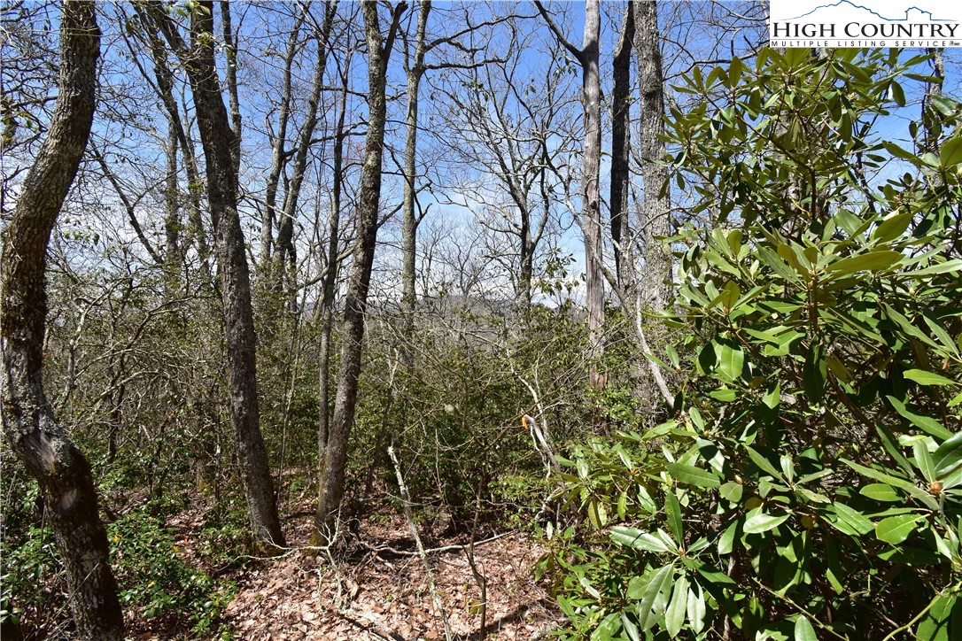Lot 15 Chestnut Mountain Road Banner Elk, NC 28604 - Photo 28 of 50 Gallery Image 28