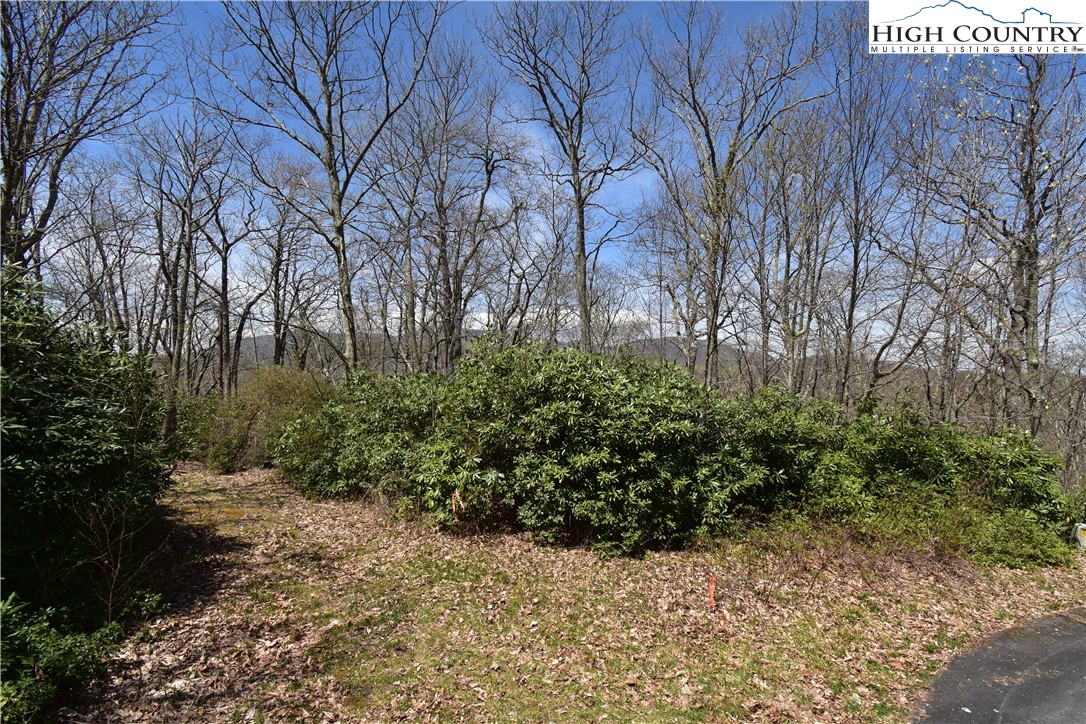 Lot 15 Chestnut Mountain Road Banner Elk, NC 28604 - Photo 29 of 50 Gallery Image 29
