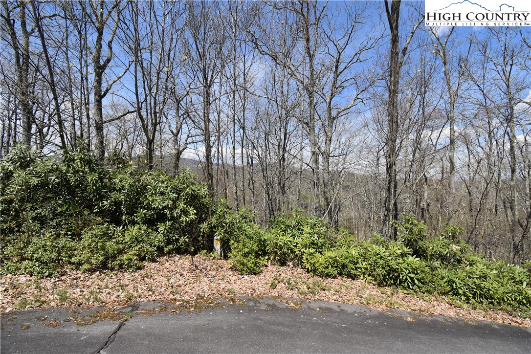 Lot 15 Chestnut Mountain Road Banner Elk, NC 28604 - Photo 30 of 50 Gallery Image 30