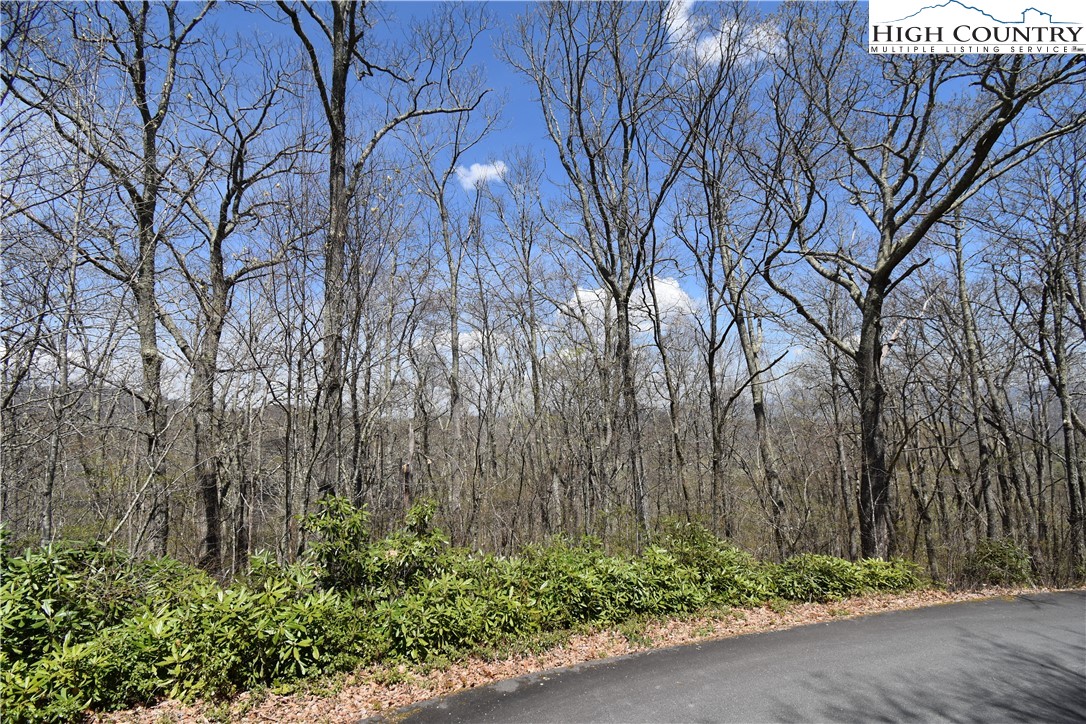 Lot 15 Chestnut Mountain Road Banner Elk, NC 28604 - Photo 31 of 50 Gallery Image 31