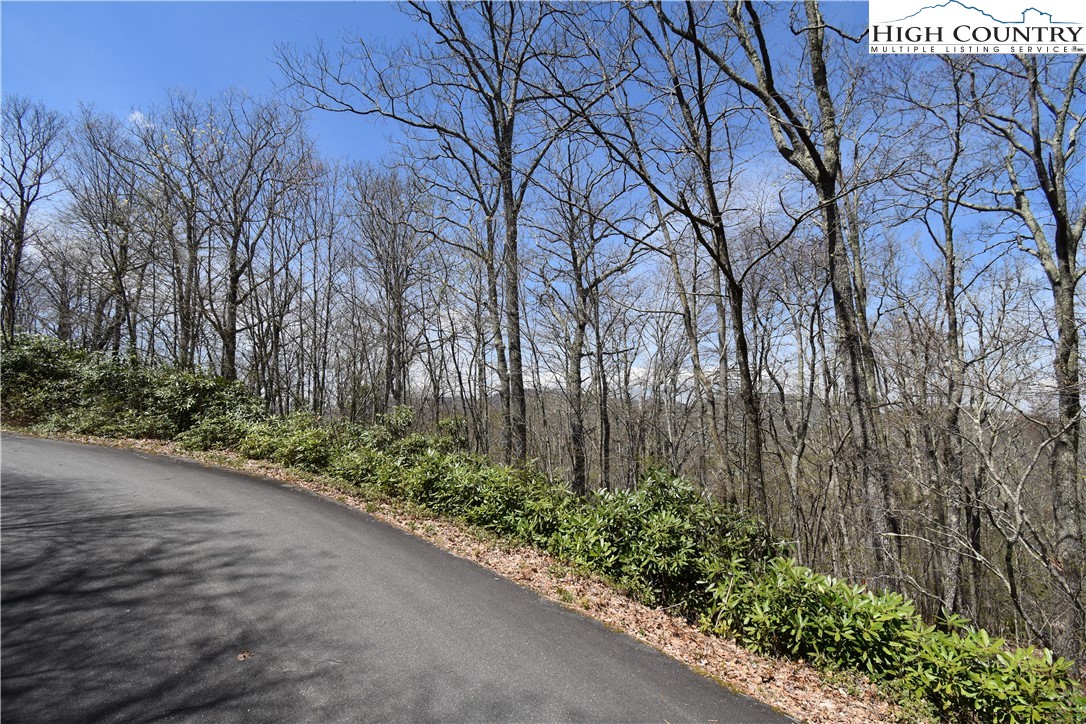 Lot 15 Chestnut Mountain Road Banner Elk, NC 28604 - Photo 32 of 50 Gallery Image 32