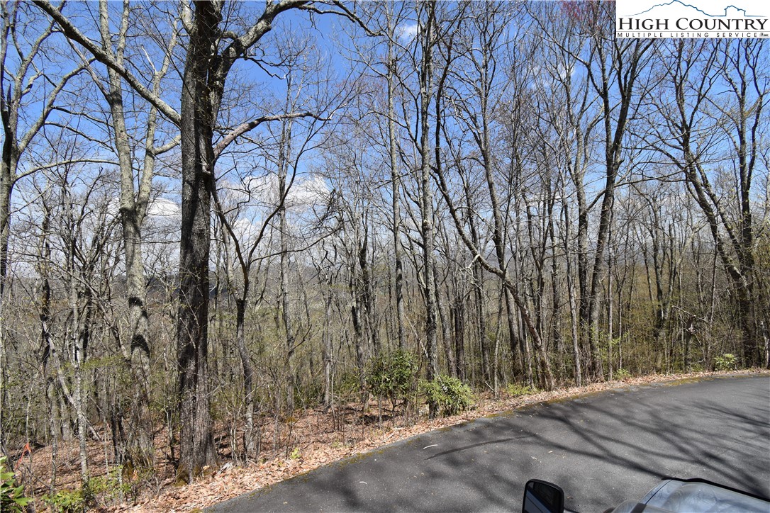 Lot 15 Chestnut Mountain Road Banner Elk, NC 28604 - Photo 33 of 50 Gallery Image 33