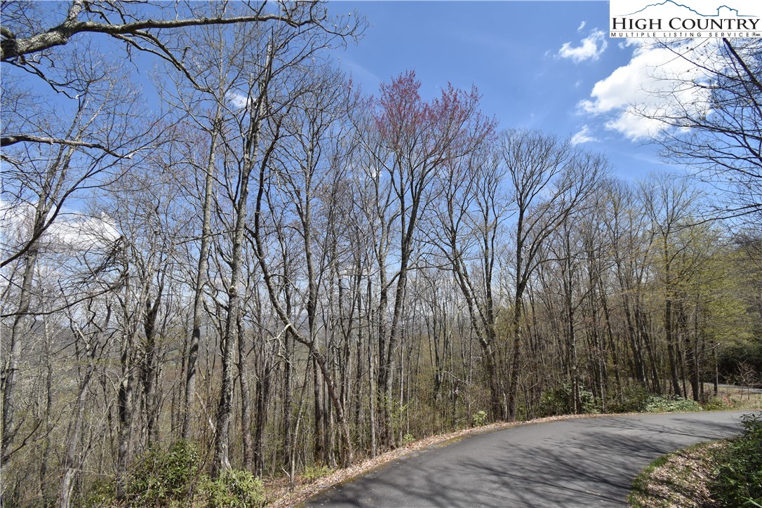 Lot 15 Chestnut Mountain Road Banner Elk, NC 28604 - Photo 34 of 50 Gallery Image 34